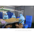 Factory prijs concurrerende walnoot kernels lichte helften